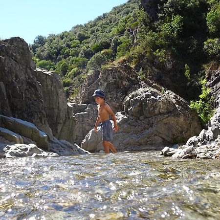 La Frigoule, Un Gite Au Coeur Du Parc Des Cevennes Generargues Extérieur photo