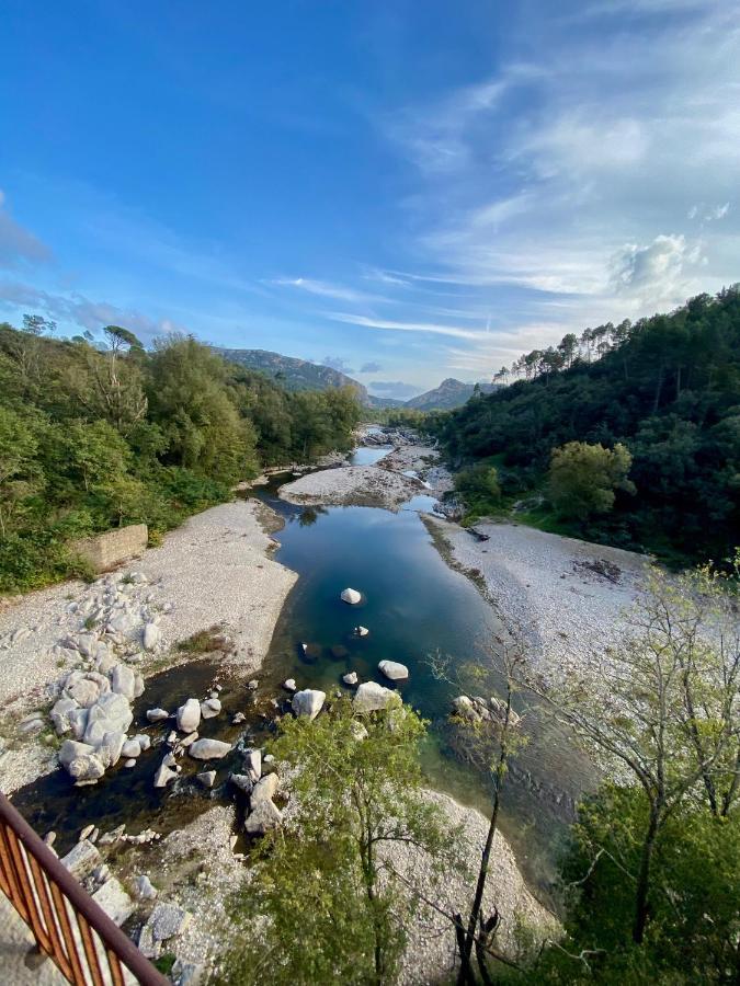 La Frigoule, Un Gite Au Coeur Du Parc Des Cevennes Generargues Extérieur photo