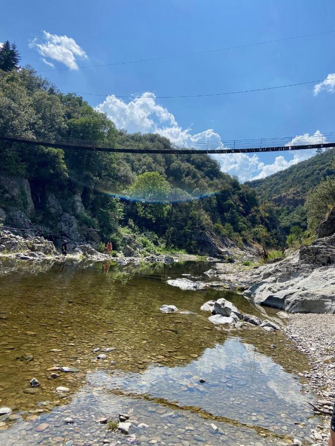 La Frigoule, Un Gite Au Coeur Du Parc Des Cevennes Generargues Extérieur photo