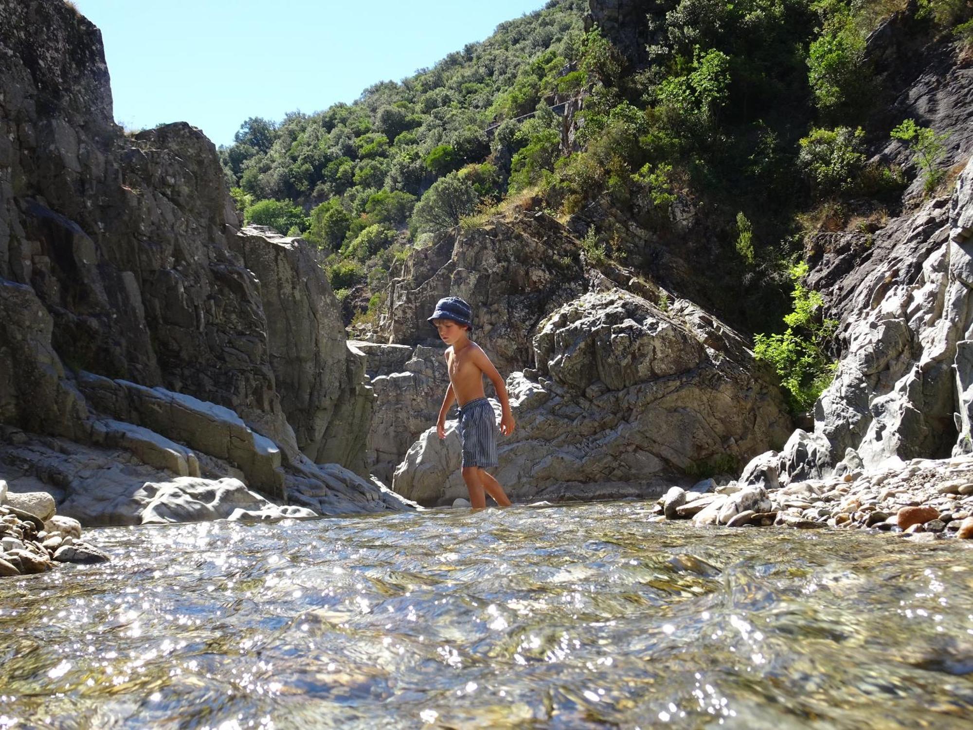 La Frigoule, Un Gite Au Coeur Du Parc Des Cevennes Generargues Extérieur photo